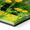 Plexifotó - plexikép  - plexi print - 5mm vastag fényes fotó plexi lap mögött