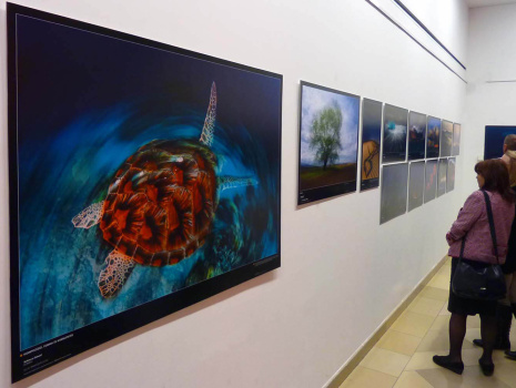 Fotónyomtatás - Giclée nyomtatás - Fotókidolgozás - Természetfotó